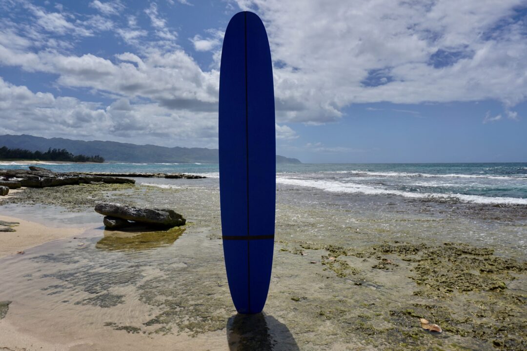 Beginner's Longboard - Image 3